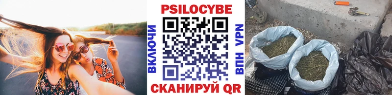 Псилоцибиновые грибы Magic Shrooms  Купить  Шлиссельбург 
