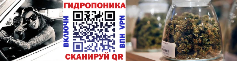 Шишки марихуана план Шлиссельбург